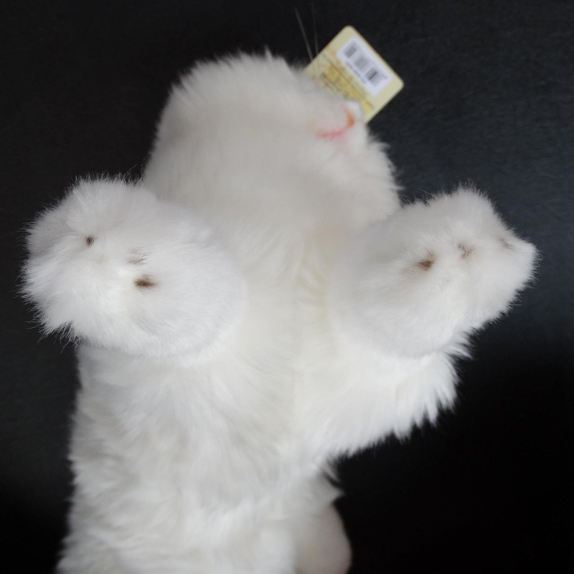 Bear-Toys-White-Plush-Stuffed-Animal-Cat-Kitten_-bottom-view.-Shop-eBargainsAndDeals